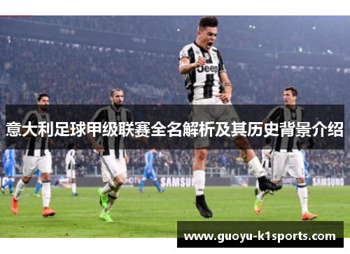 意大利足球甲级联赛全名解析及其历史背景介绍