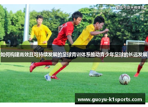如何构建高效且可持续发展的足球青训体系推动青少年足球的长远发展