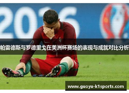 帕雷德斯与罗德里戈在美洲杯赛场的表现与成就对比分析