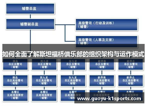 如何全面了解斯坦福桥俱乐部的组织架构与运作模式